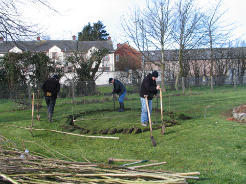 Conservation Volunteers building a Mesolithic hut at St Malachy�s Primary, Coleraine