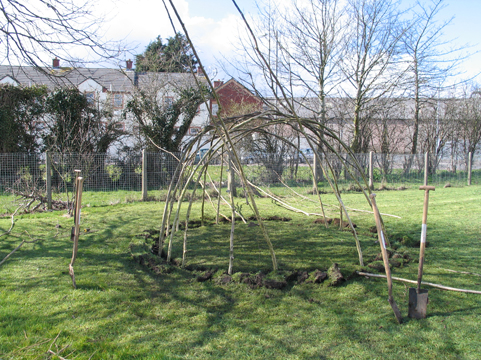 Building a Mesolithic hut. Hazel rods are driven into the ground and tied at the top.